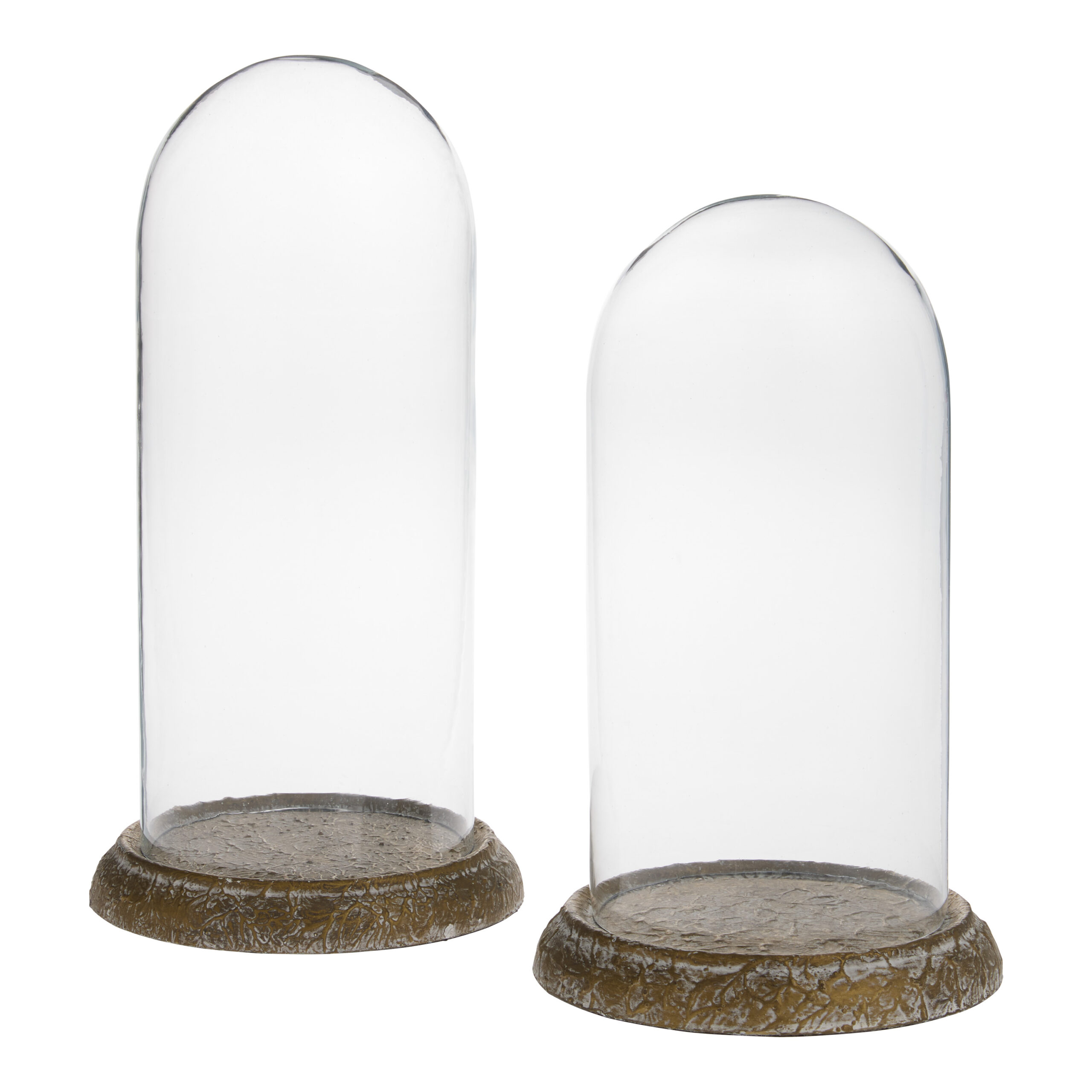 Glass Cloche with Antiqued Base - World Market